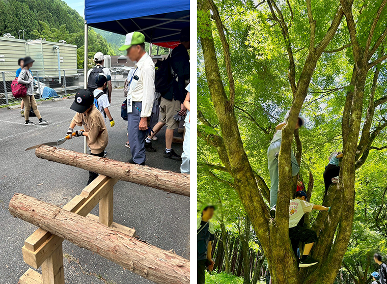 写真：檜原村