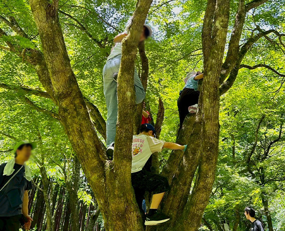 「多摩の森」自然体験ツアー第9回：写真01