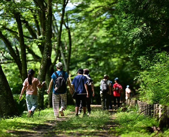 「多摩の森」自然体験ツアー第10回：写真01
