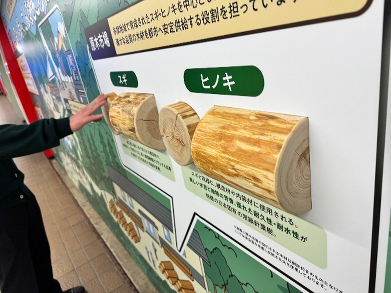 PR広告の細部 本物の「東京の木 多摩産材」のイメージ