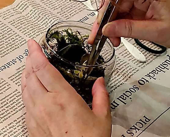 「多摩の森」自然体験ツアー第2回：写真03