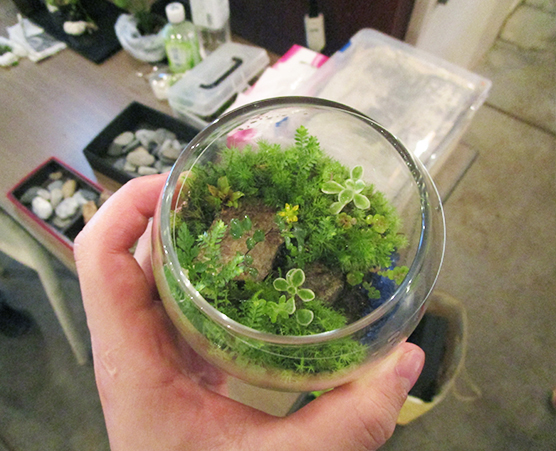 「多摩の森」自然体験ツアー第3回：写真04