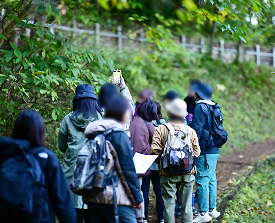「多摩の森」自然体験ツアー第5回：写真01