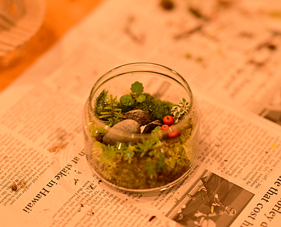 「多摩の森」自然体験ツアー第6回：写真03