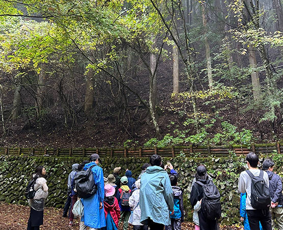 「多摩の森」自然体験ツアー第12回：写真01