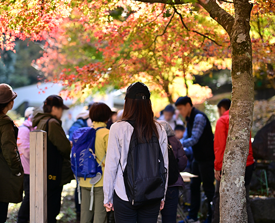 「多摩の森」自然体験ツアー第14回：写真01